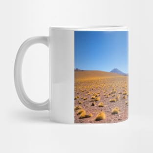 Atacama Desert Mug